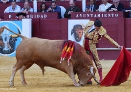 Ortega, en una imagen de archivo, en la plaza de La Malagueta.