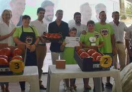 El mejor lote de tomate Huevo de Toro 2023