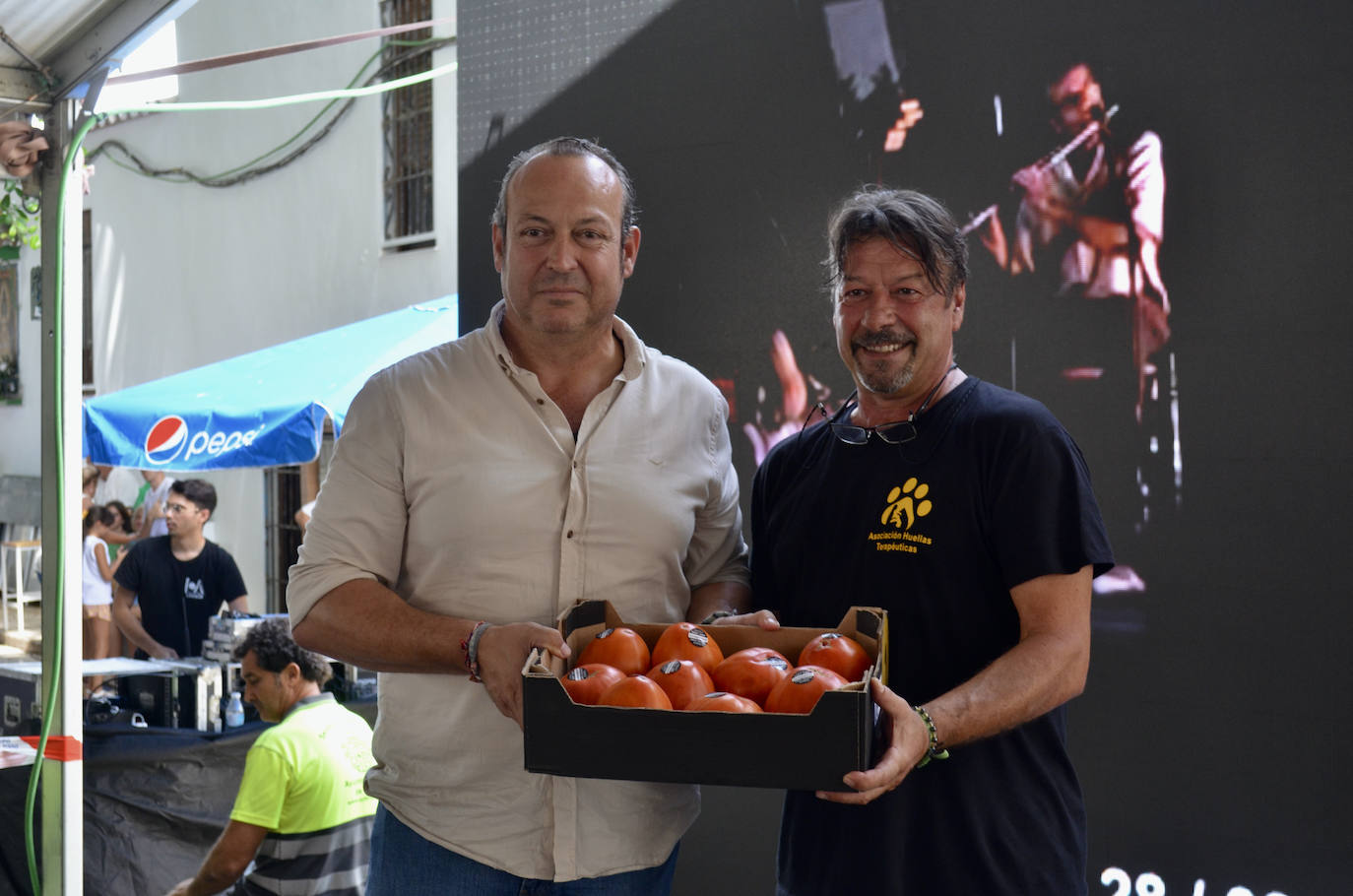 El mejor lote de tomate Huevo de Toro 2023