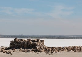 La laguna de Fuente de Piedra está seca este año y los flamencos no han podido anidar.