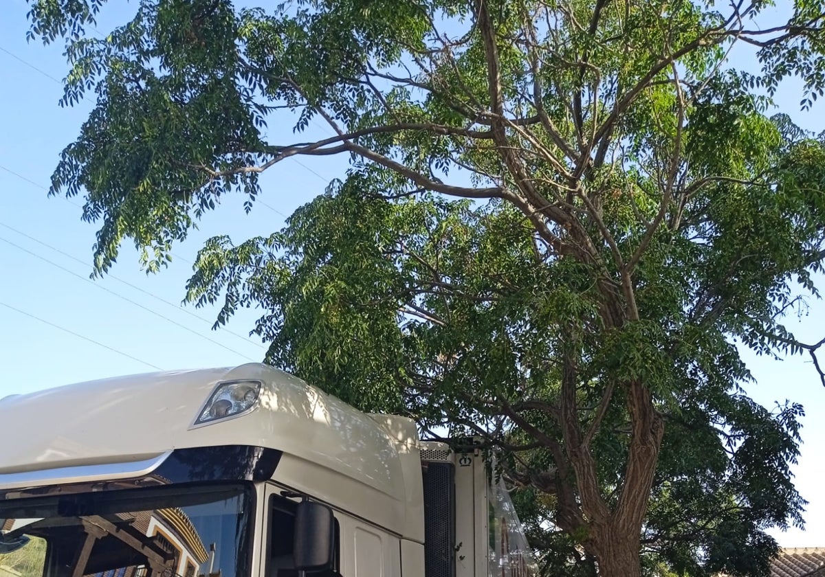 Vista de la situación habitual cuando pasan camiones.