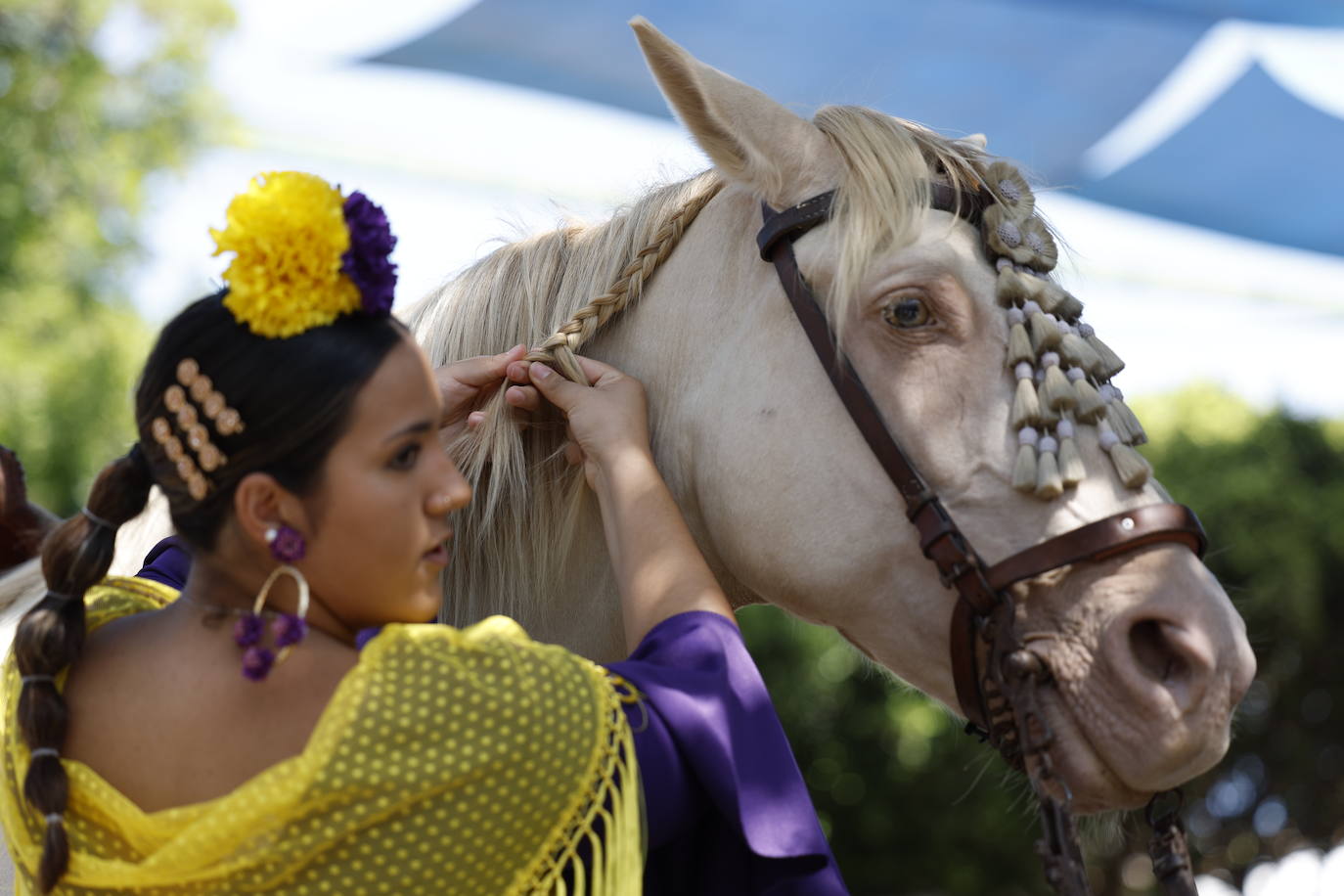 Feria de Málaga 2023: las mejores imágenes del viernes 18