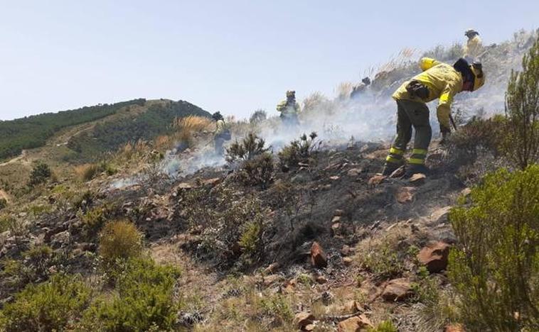 Efectivos del Infoca en un incendio forestal