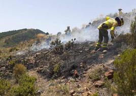 Efectivos del Infoca en un incendio forestal