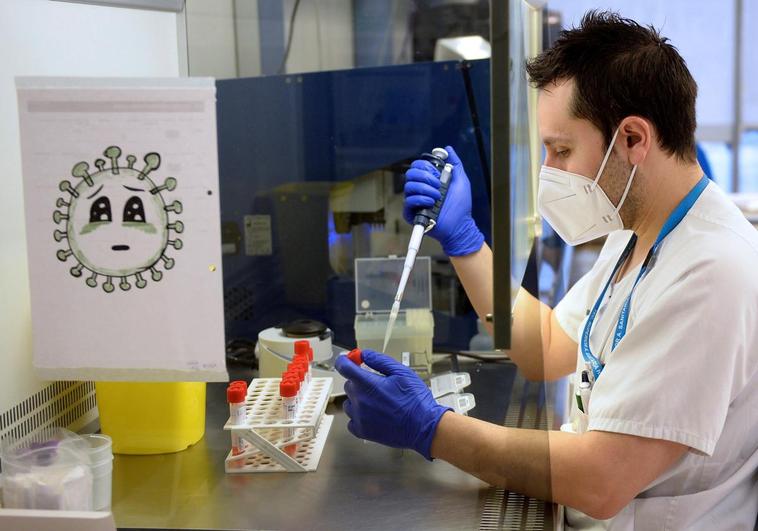 Eris, la nueva variante de coronavirus que sigue en aumento y de la que alerta la OMS