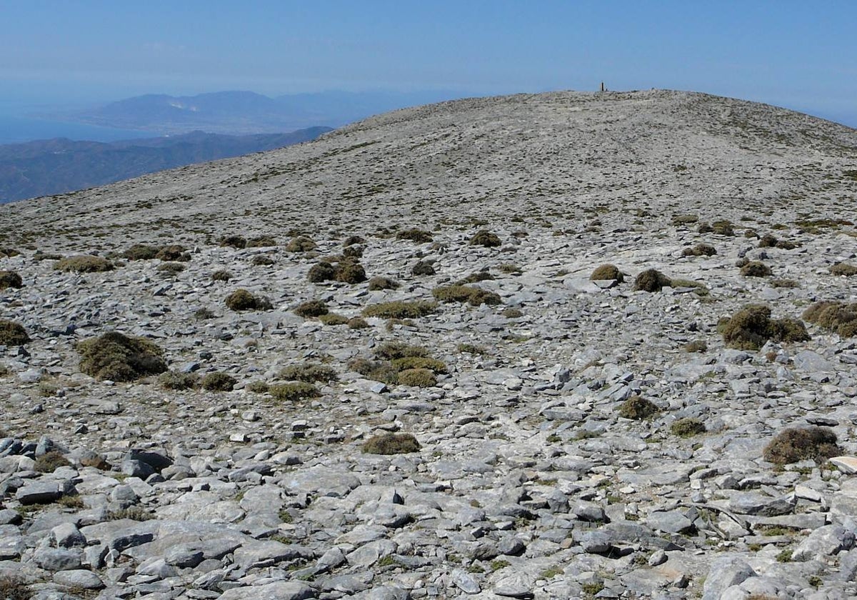 Los terrenos más altos situados en Sierra Tejeda superan los 2.000 metros, aunque el pico La Maroma (2.069 m.) es compartido por Málaga y Granada.