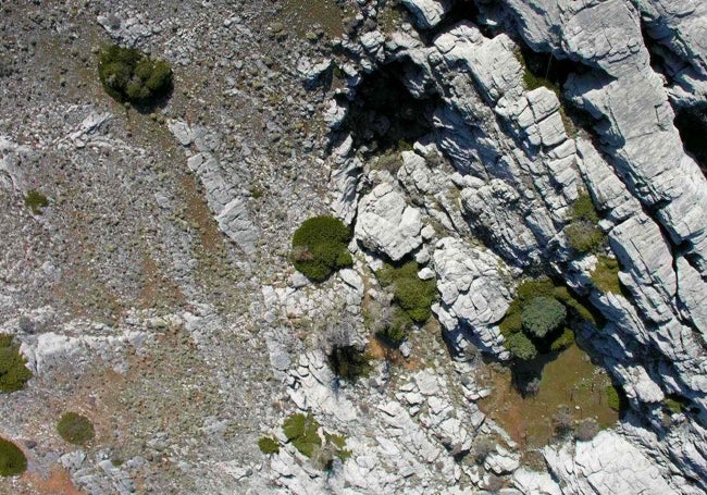 Boca de la sima, en el paraje de los Hoyos del Pilar, cerca del pico Torrecilla.