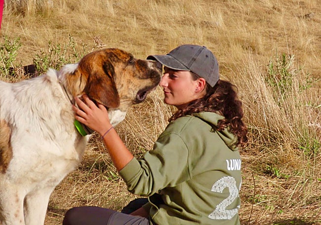 Una joven participante en esta aventura acaricia a un mastín.