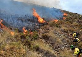 Extinguido el incendio forestal en Benahavís, que movilizó a un centenar de bomberos