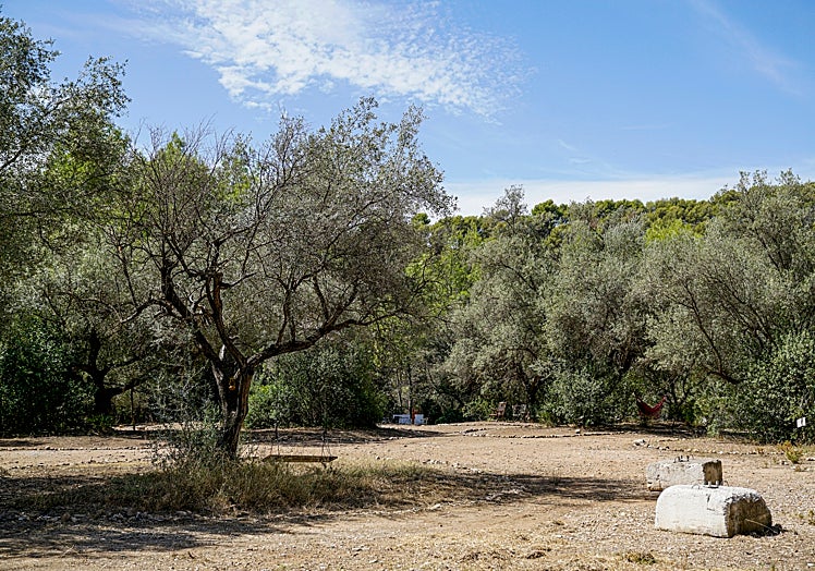 Imagen principal - Marbella ultima la expropiación de los terrenos de Puerto Rico bajo