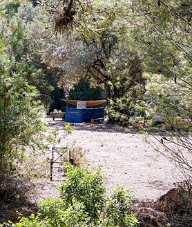 Imagen secundaria 2 - Marbella ultima la expropiación de los terrenos de Puerto Rico bajo