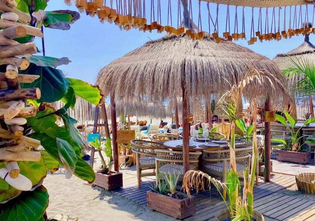 Palapa Beach: Un ambiente diferente y muy actual