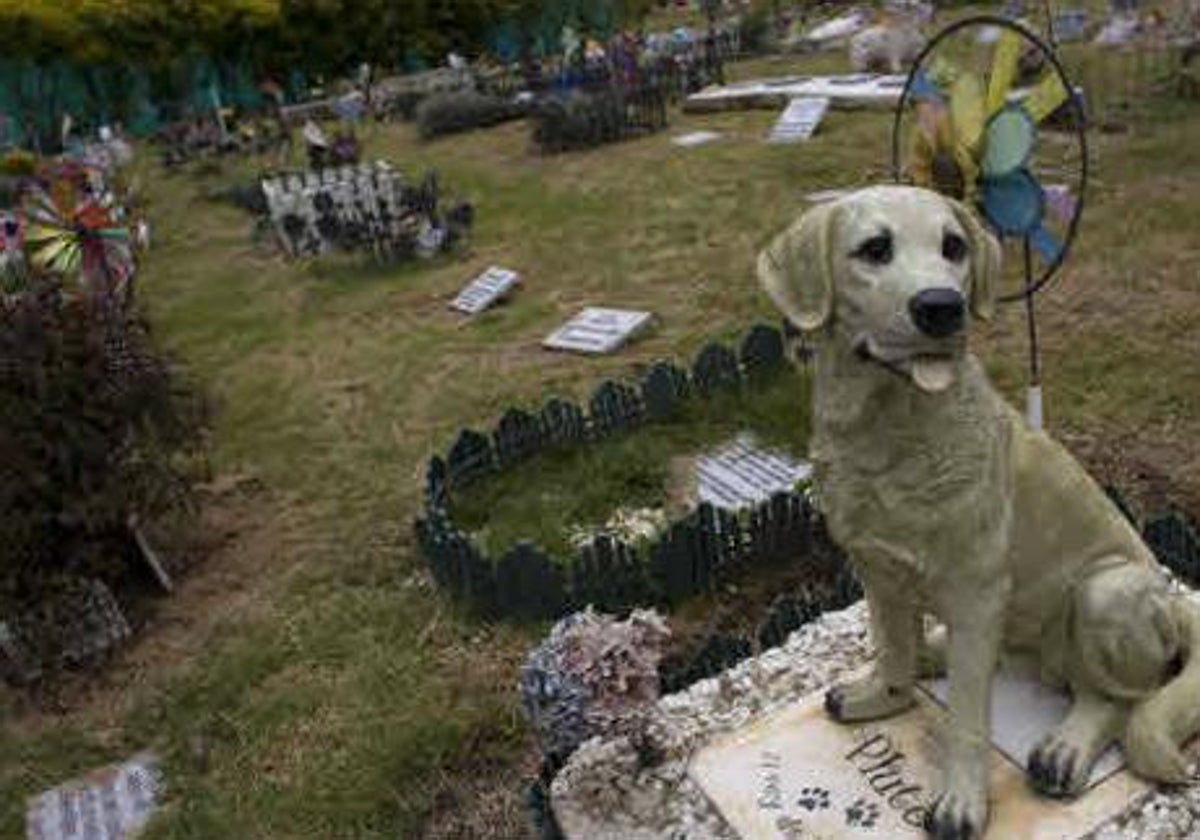 Imagen de un cementerio de mascotas en Bogotá