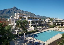 Infografía del proyecto.