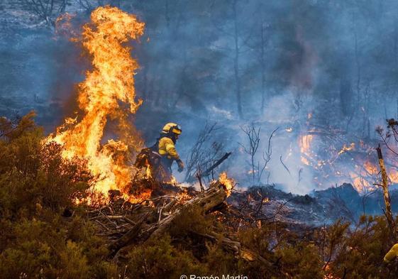 El Plan Infoca suma casi 600 actuaciones en incendios forestales en la Época de Alto Riesgo