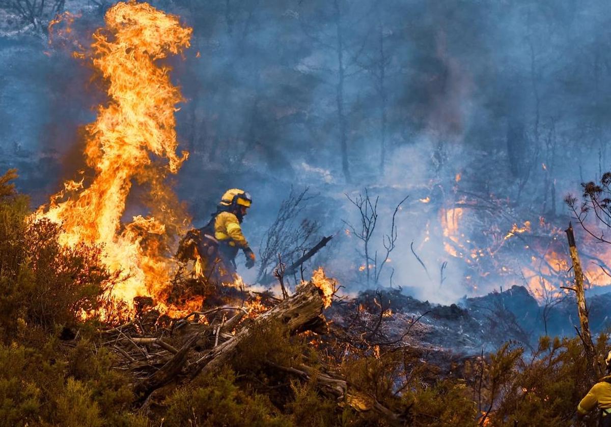 El Plan Infoca suma casi 600 actuaciones en incendios forestales en la Época de Alto Riesgo