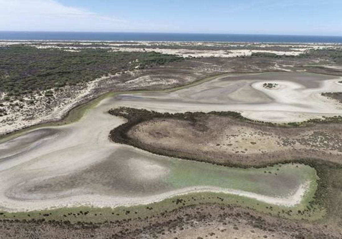 Estado de la laguna de Santa Olalla, en Doñana, el pasado agosto.