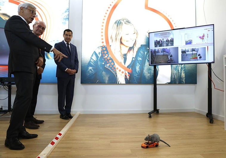 Tecnología para mejorar la teleasistencia, el control de plagas o la seguridad vial: así trabaja Vodafone en Martiricos