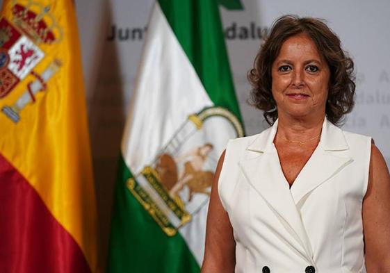 La Junta espera llegar a «cero agresiones» a sanitarios