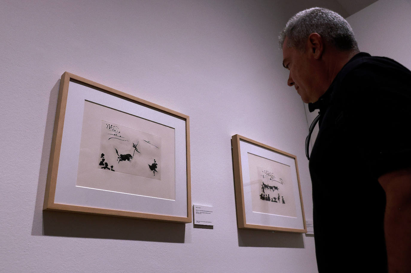 La exposición &#039;Goya / Picasso. Tauromaquias&#039;, en imágenes