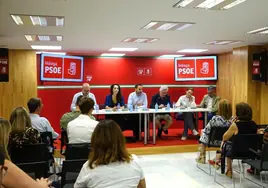 Dani Pérez, este lunes, durante la reunión de la ejecutiva socialista.
