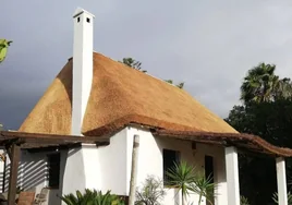 Imagen de archivo de una casa con cubierta vegetal.