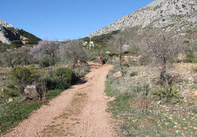 Camino que lleva hasta los senderos de la subida al pico de Huma y a las Escaleras Árabes