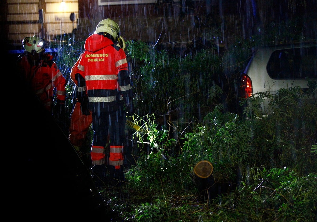 Un bombero interviene por la caída de un árbol en Antequera.