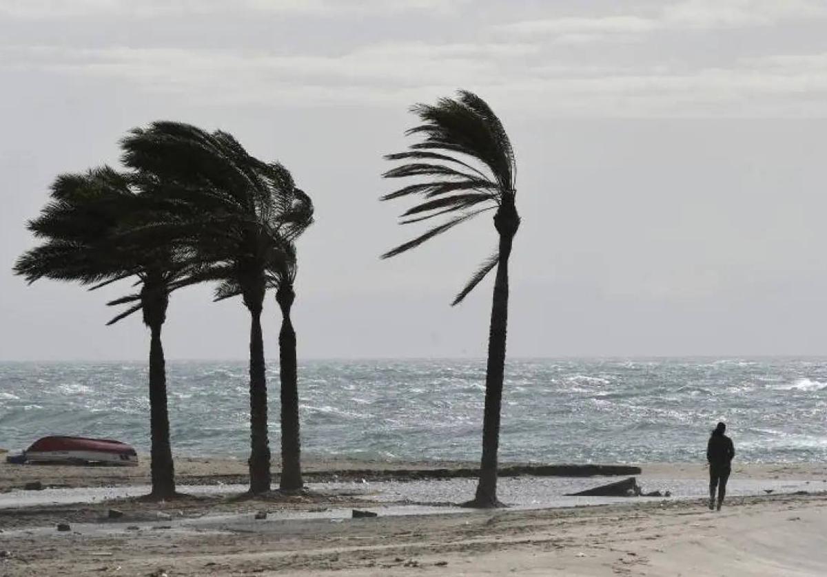 Aemet eleva el aviso a naranja este domingo en Málaga