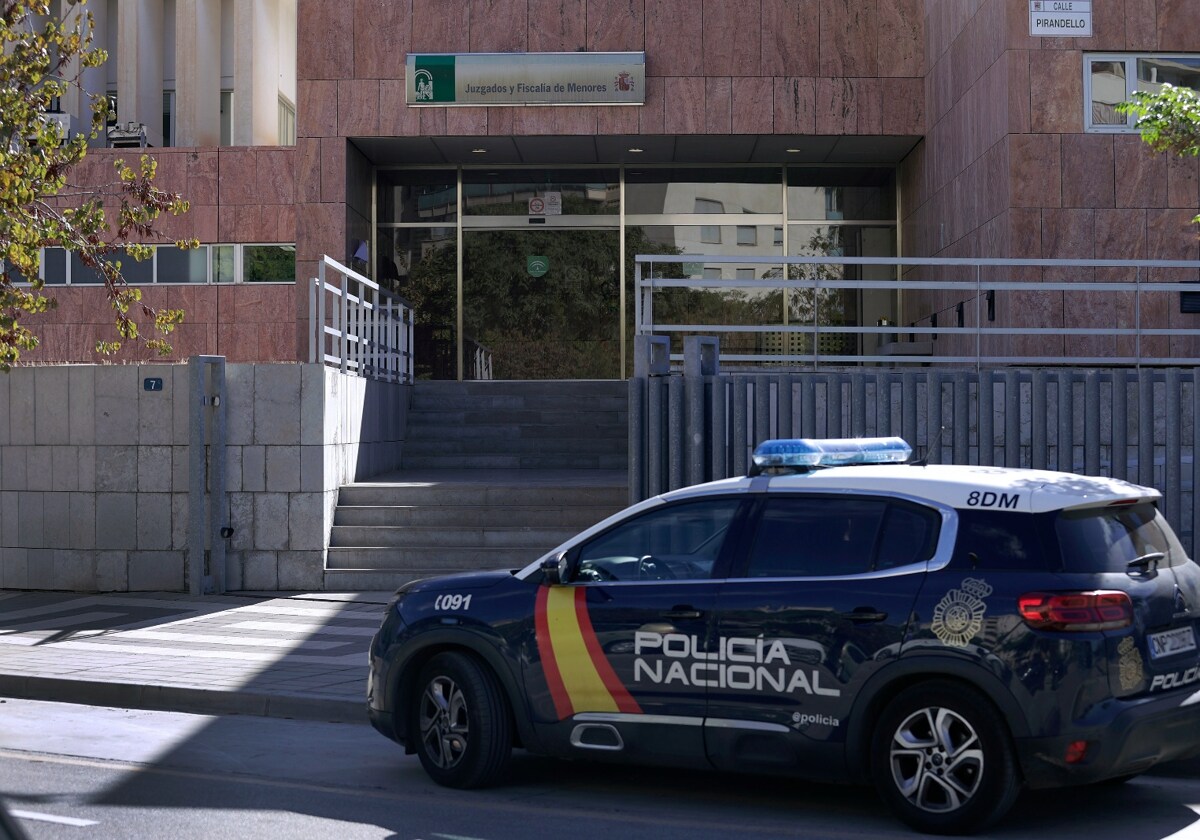 Cinco menores detenidos por tres agresiones sexuales a una adolescente en  una misma noche | Diario Sur