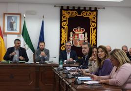 Pleno en el Ayuntamiento de Mijas