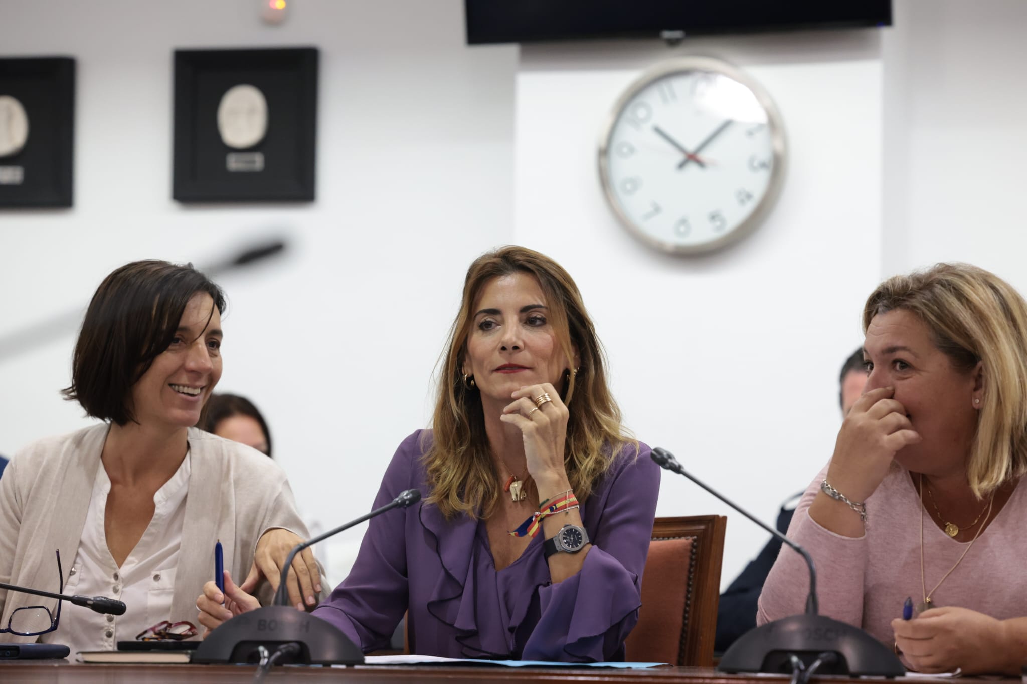 Pleno en el Ayuntamiento de Mijas