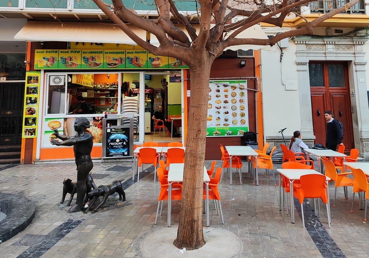 Vista de un árbol tapado con hormigón.