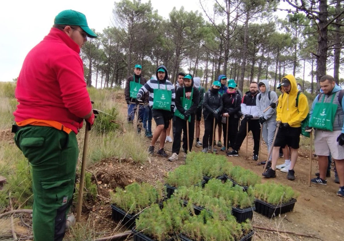 Voluntarios durante una campaña de repoblación en el monte.