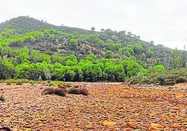 Los ríos siguen sin apenas caudal pese a las lluvias.
