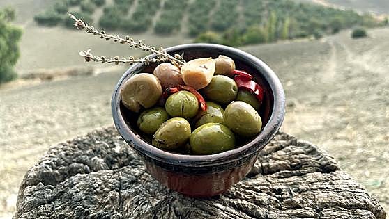 Aceitunas aloreñas aliñadas: la exquisitez del otoño