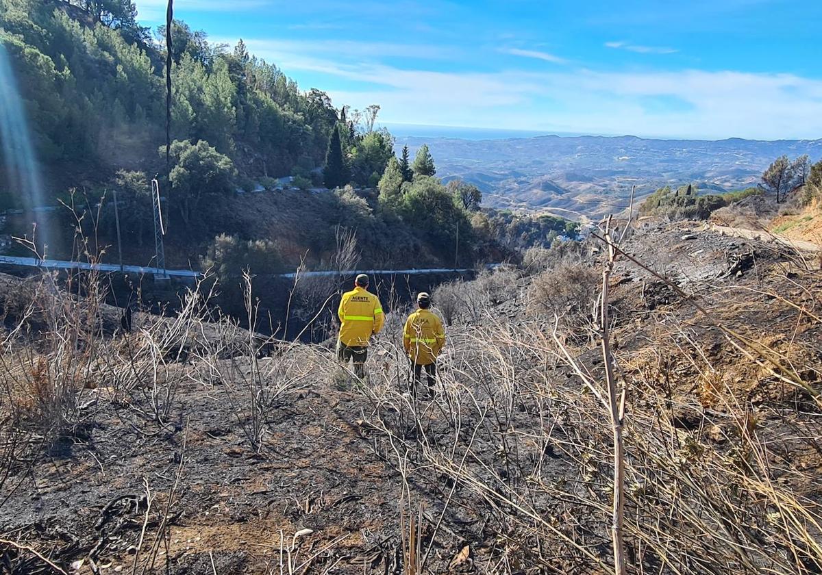 El horror del incendio de Mijas, en imágenes