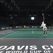 ¿La última final de Copa Davis en Málaga?