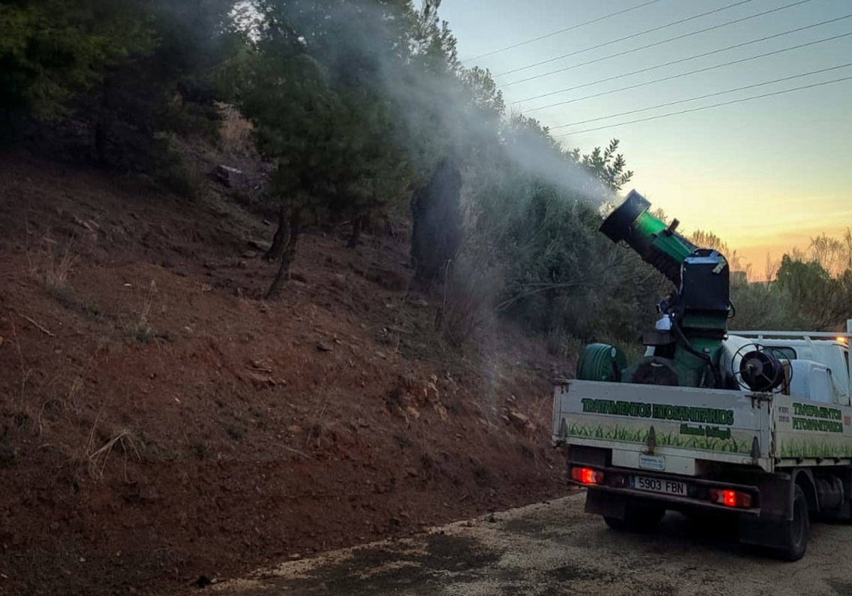 Operarios pulverizando la solución bacteriana con fórmulas para favorecer la salud del árbol.