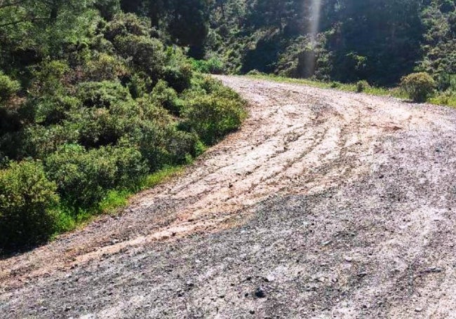 El estado actual del carril de acceso al puerto de las Golondrinas.