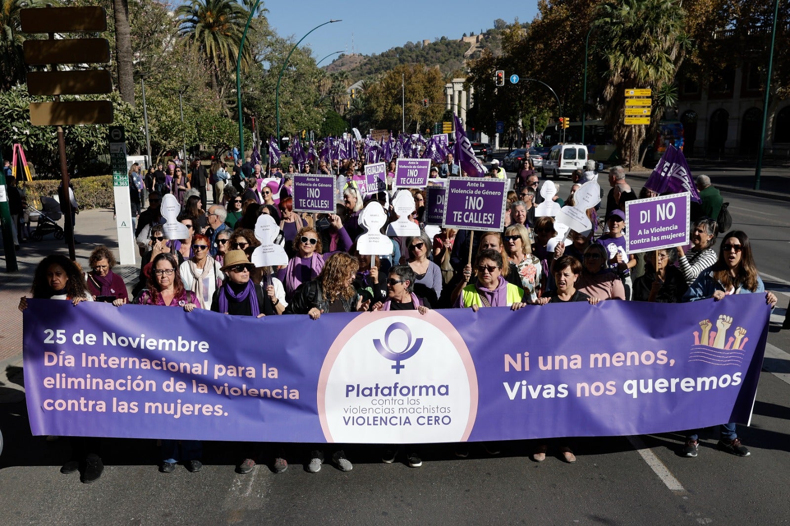 Unas 3.000 personas participan en la manifestación del 25N en Málaga