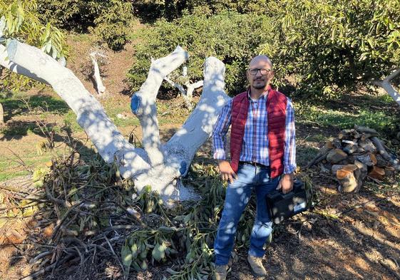 José María Guzmán, veleño de 50 años, junto a uno de los aguacates que ha talado por la extrema sequía en su finca situada en la zona del arroyo Cabrillas.