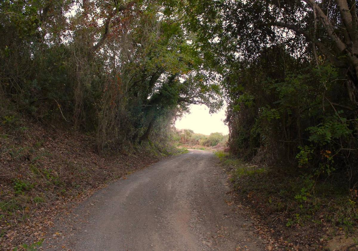 Esta ruta ofrece muchas caras distintas a lo largo del recorrido