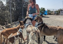 Una de las voluntarias del centro, junto a varios animales.