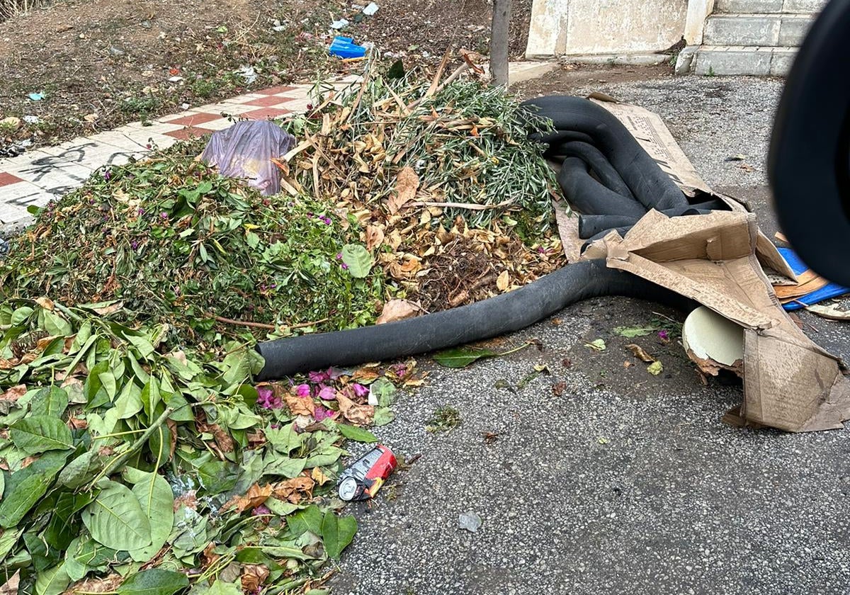 Maleza, tuberías y otros desperdicios en la esquina denunciada.