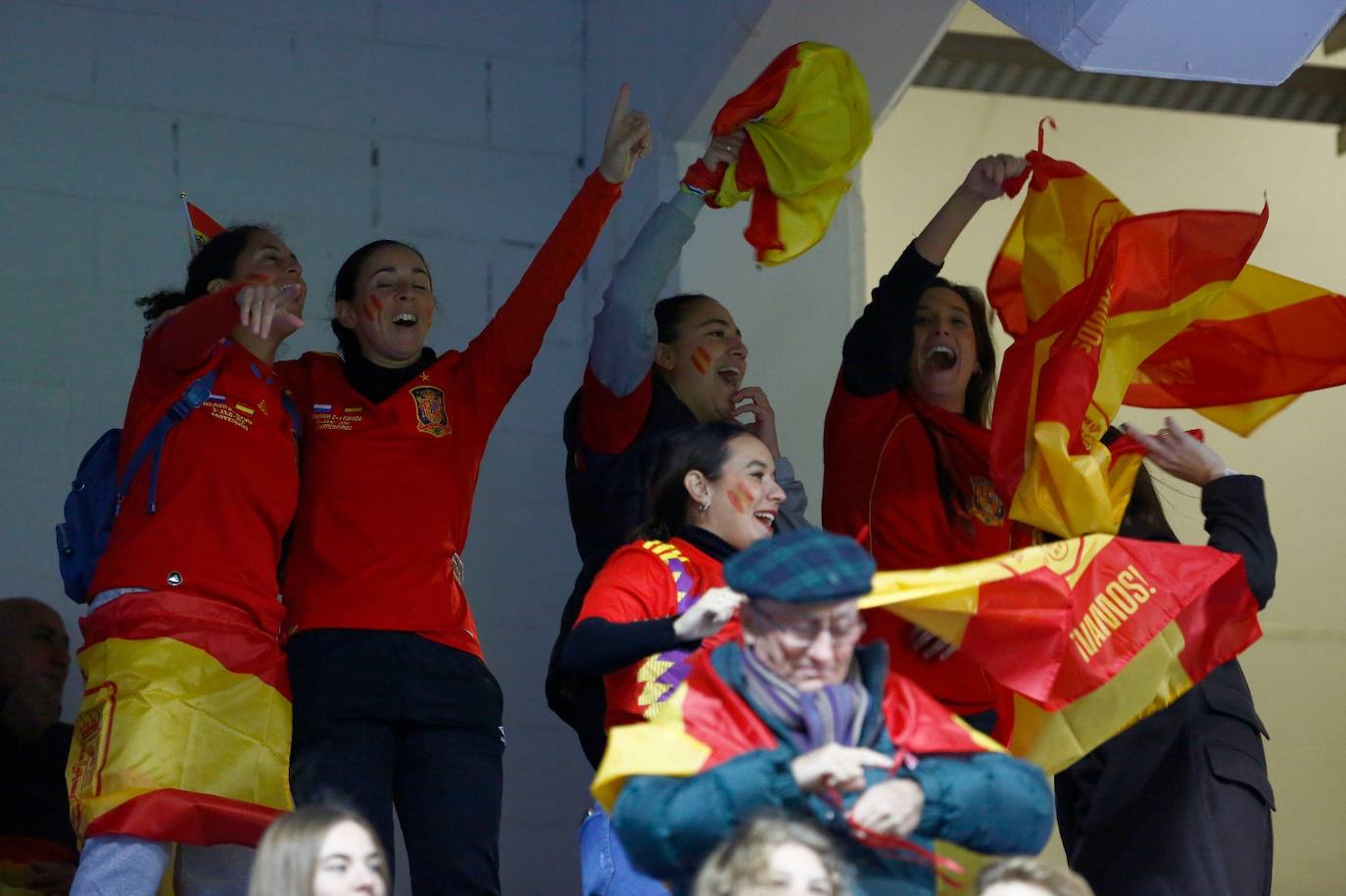 El España- Suecia en La Rosaleda, en imágenes