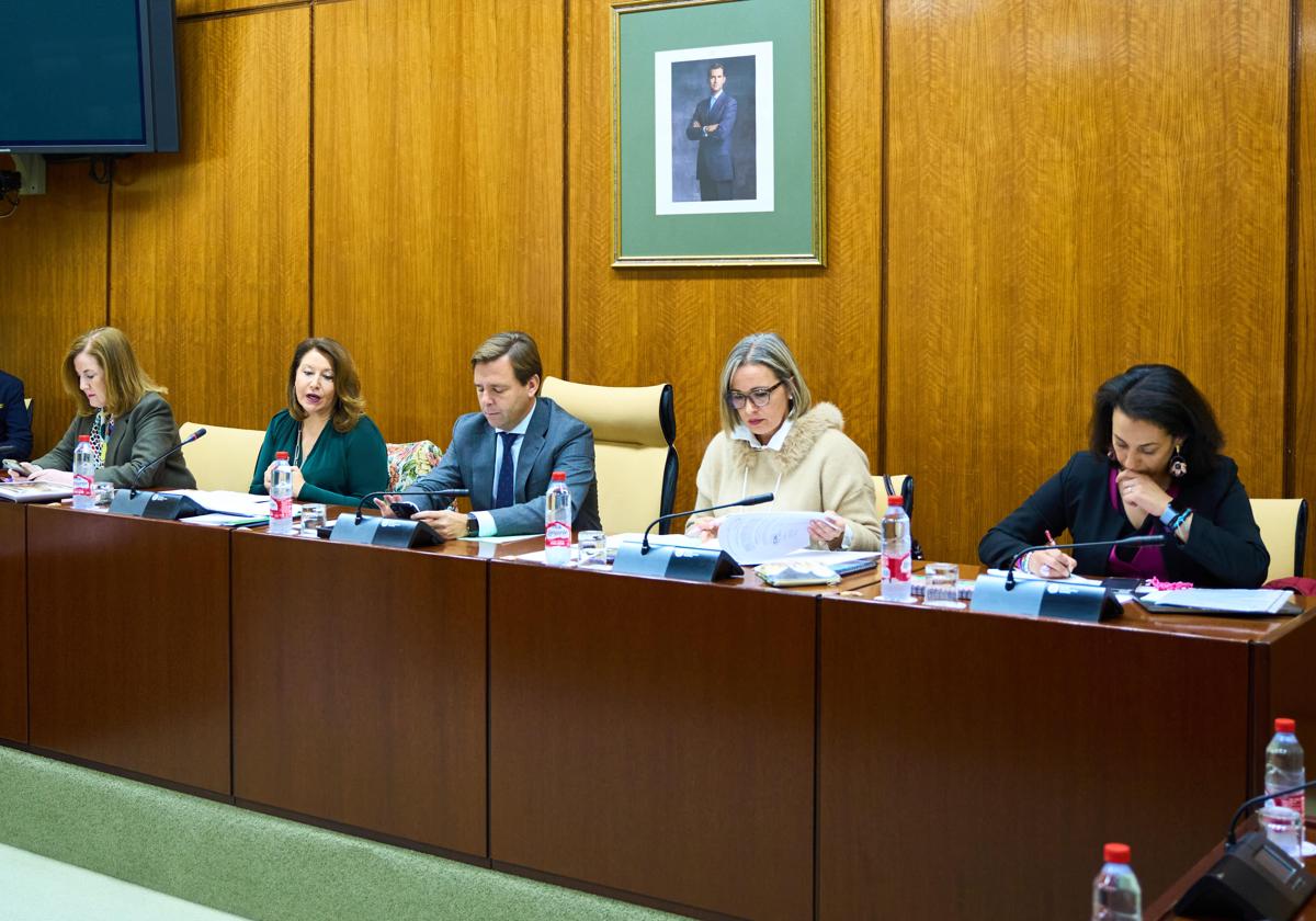 Mesa de la comisión de Agricultura, presidida por Antonio Repullo.