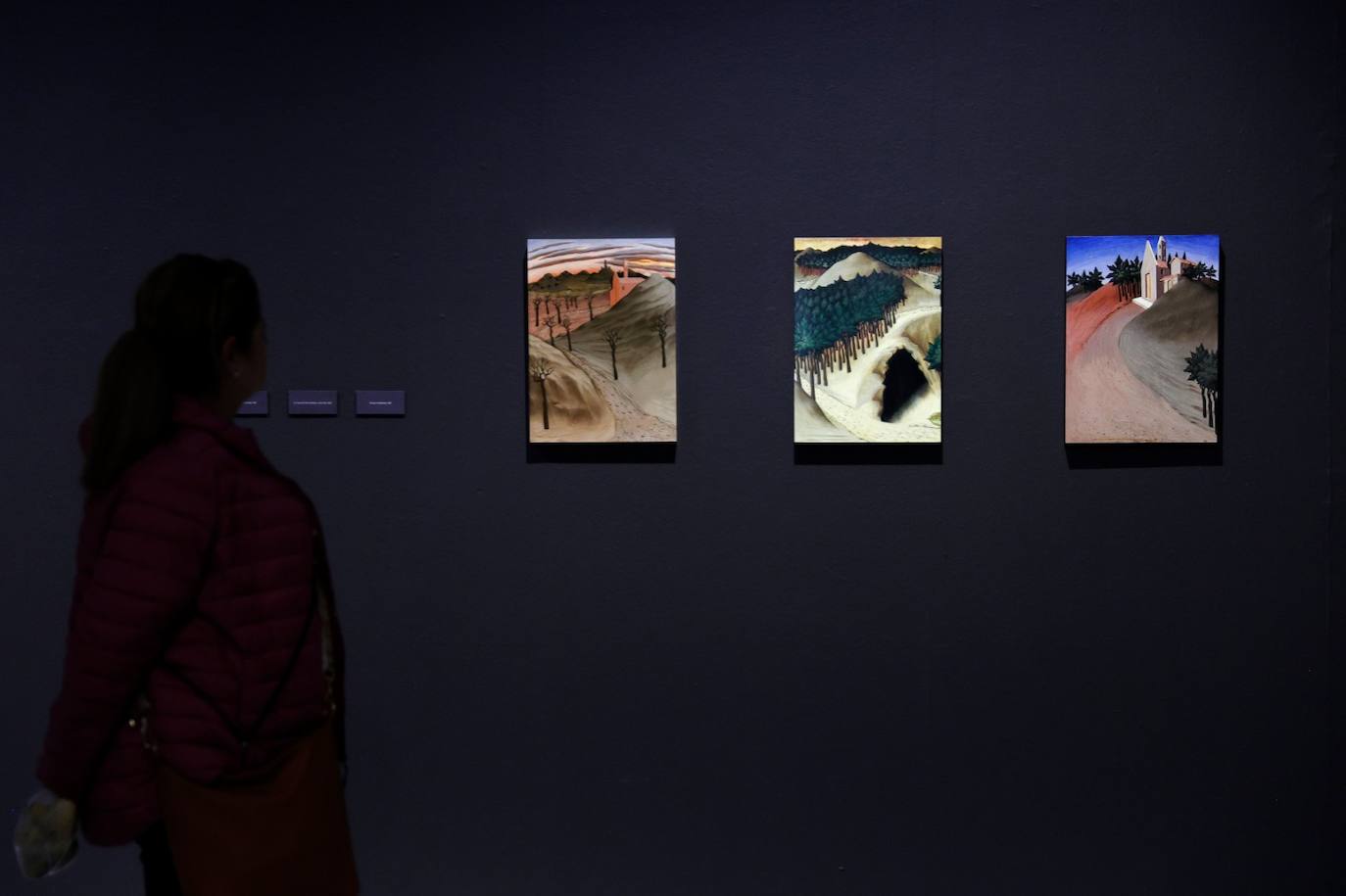 Exposición de José Manuel Ballester en la sala del Rectorado