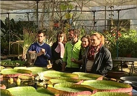 Gutiérrez del Álamo (izquierda) junto a los técnicos de La Concepción, que consiguieron replicar este nenúfar gigante, la 'Victoria cruziana'
