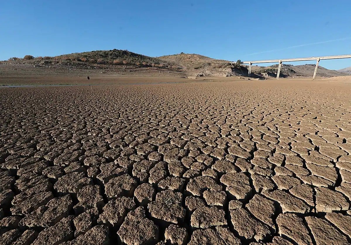 Las grietas en el suelo 'graban' el paisaje en el Conde del Guadalhorce, en su mínimo histórico.